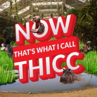 NOW That's What I Call THiCC