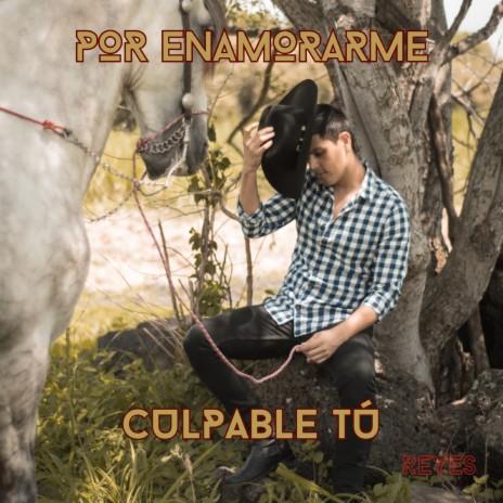 Por Enamorarme / Culpable Tu | Boomplay Music