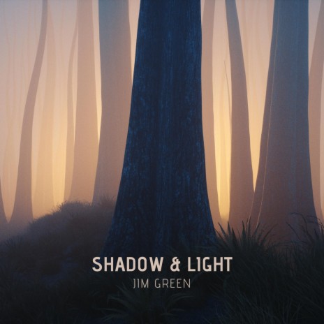 Shadow and Light | Boomplay Music