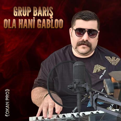 Grup Barış - Ola Hani Gabloo Halayı Süper | Boomplay Music