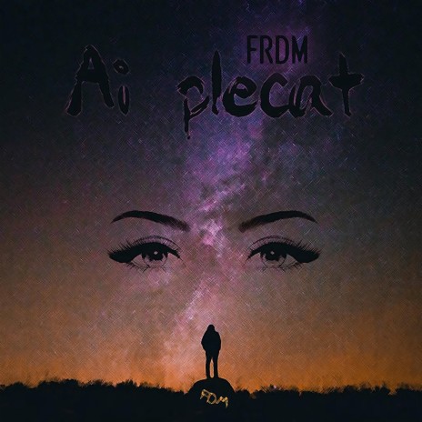 Ai Plecat | Boomplay Music