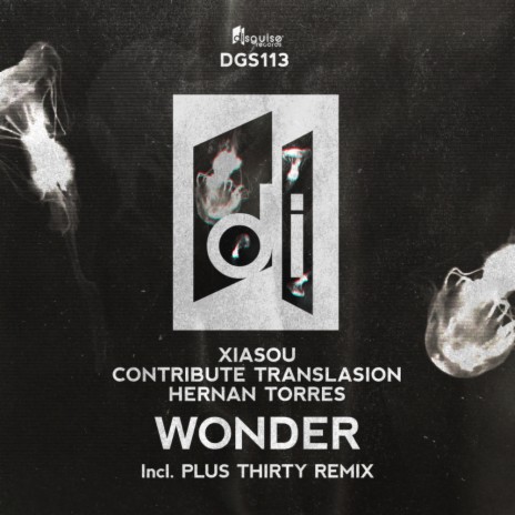 Wonder (Original Mix) ft. Contribute Translasion & Hernan Torres