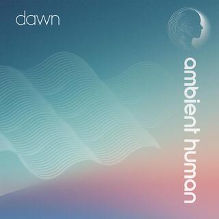 Dawn