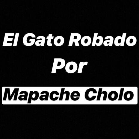 El Gato Robado Por Mapache Cholo