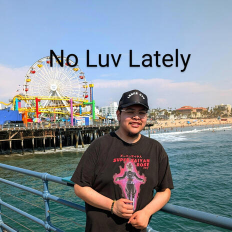 No Luv Lately | Boomplay Music