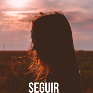 Seguir