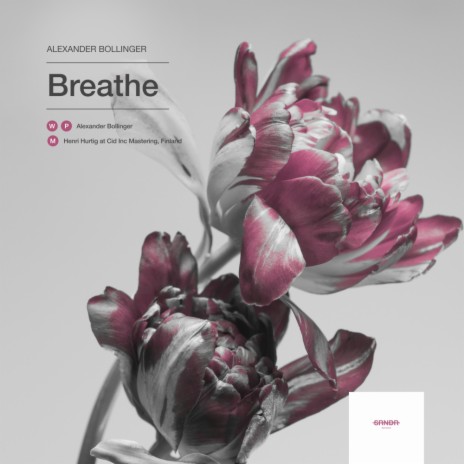 Breathe (Original Mix) | Boomplay Music