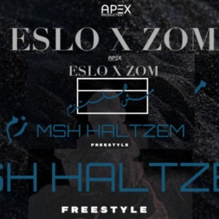 Msh Haltzem lyrics | Boomplay Music