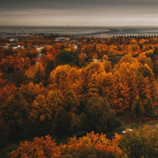 Long long autumn