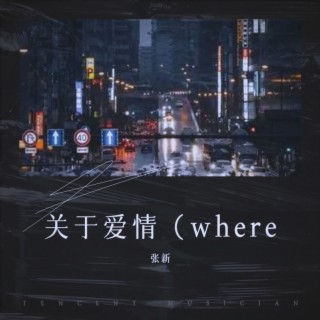 关于爱情（where is love）