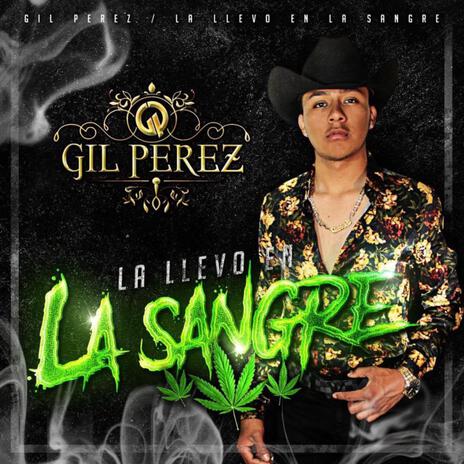 La Llevo En La Sangre | Boomplay Music