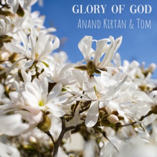 Glory Of God