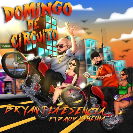 Domingo De Circuito ft. David La Melma | Boomplay Music