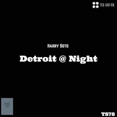 Detroit @ Night (Night Mix)