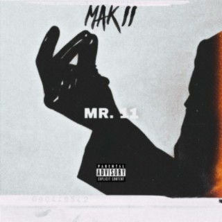 Mr. 11