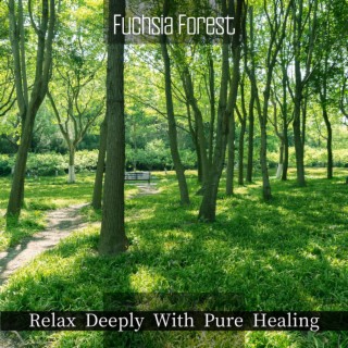 Relax Deeply with Pure Healing