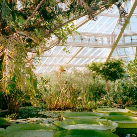 botanical garden