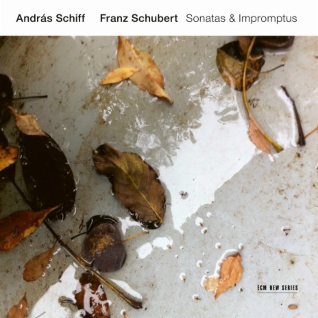 Schubert: Piano Sonata No. 19 in C Minor, D. 958: IV. Finale. Allegro | Boomplay Music