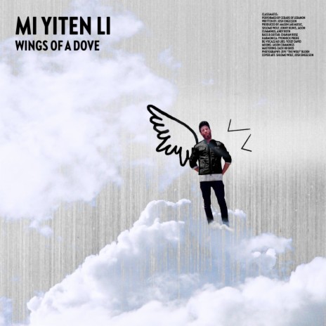 Wings of a Dove (Mi Yiten Li) (blhr Remix) ft. blhr | Boomplay Music