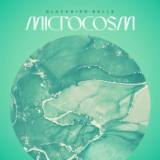 Microcosm