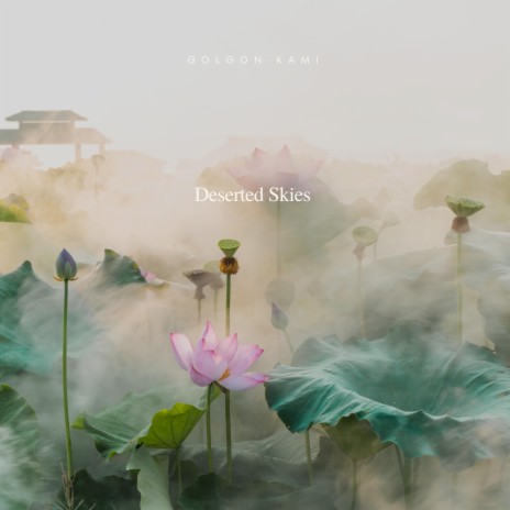 Deserted Skies | Boomplay Music