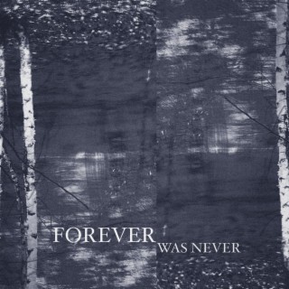 Forever Was Never