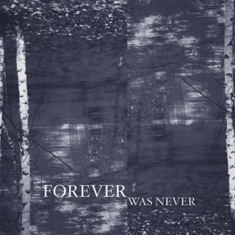 Forever Was Never | Boomplay Music