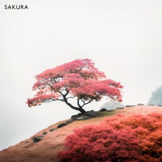 Sakura (Music For Sorrow)