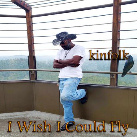 I Wish I Could Fly | Boomplay Music