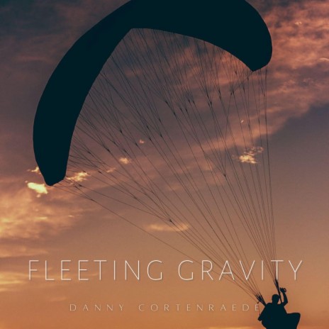 Fleeting Gravity | Boomplay Music
