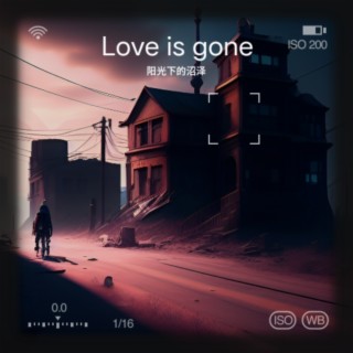 Love is gone