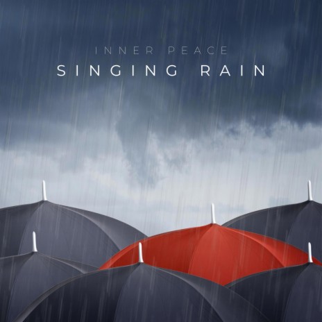 Singing Rain (Long Version) | Boomplay Music