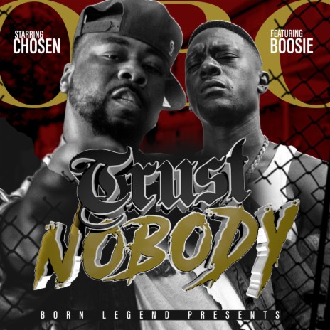 Trust Nobody ft. Boosie Badazz | Boomplay Music