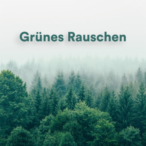 Beruhigendes Grünes Rauschen ft. Weißes Rauschen & Grünes Rauschen