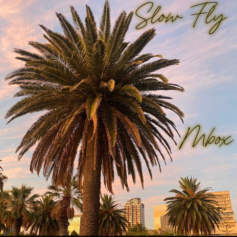 Slow Fly | Boomplay Music