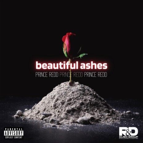 Beautiful Ashes | Boomplay Music
