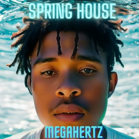 Spring House | Boomplay Music