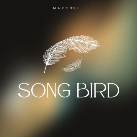 Plumage's Verse | Boomplay Music