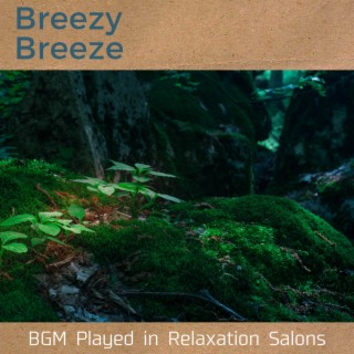 BGM Played in Relaxation Salons