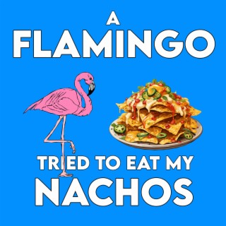A Flamingo Tried To Eat My Nachos