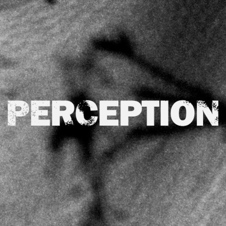 Perception | Boomplay Music