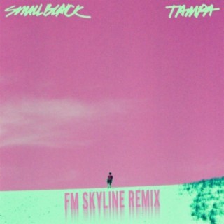 Tampa (FM Skyline Remix) [7 Version]