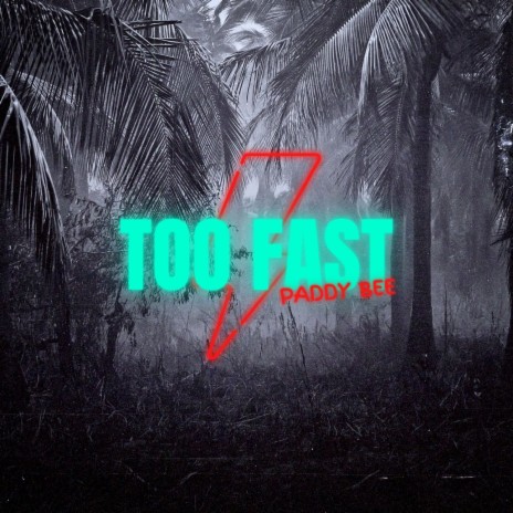 Too Fast | Boomplay Music