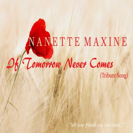 If Tomorrow Never Comes (Tribute Song) | Boomplay Music