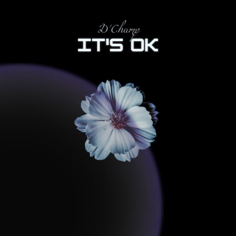 It's Ok | Boomplay Music