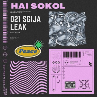 HAI SOKOL (Lost file)