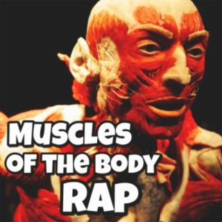 Muscles of the Body Rap