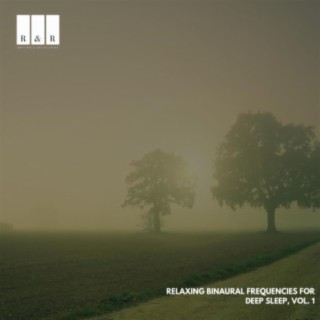 Relaxing Binaural Frequencies for Deep Sleep, Vol. 1