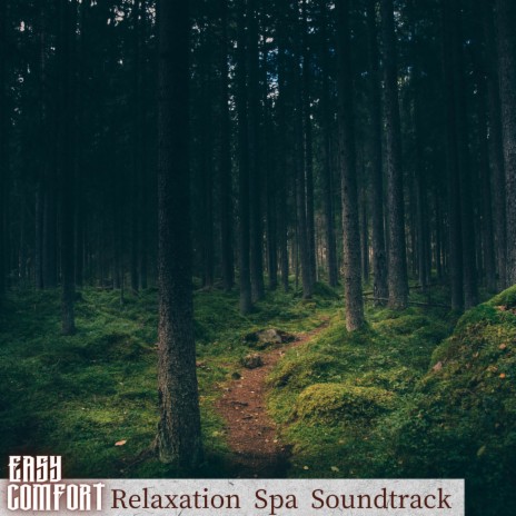 Relaxing Aromatherapy | Boomplay Music