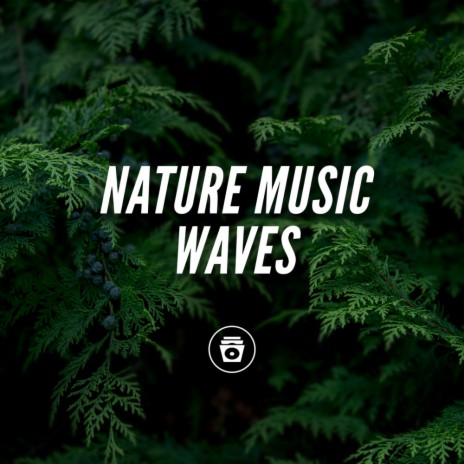 Abstract Nature Sounds